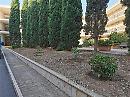 Nel cimitero di Molfetta trova requie anche un orto di frutta e verdura