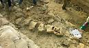 Matera, al via il cantiere per il restauro della "Balena Giuliana", il fossile ritrovato nel 2006 sulle sponde della diga di San Giuliano