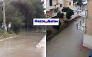 A Campomarino, in Molise, il mare scavalca la pineta e si prende le case
