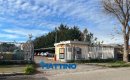 L'Istituto Zooprofilattico di Foggia chiamato a indagare sul killer delle tartarughe Caretta caretta a Barletta