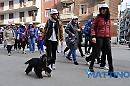 A spasso con la prevenzione contro il cancro
