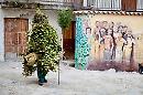 Essere un albero per un giorno. «La foresta che cammina» è il carnevale ecologista di Satriano di Lucania 

