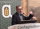 Denis Pantini (Nomisma): olio d'oliva "Cenerentola". In Puglia la produzione cala del 52%