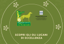 Nuovi appuntamenti per gli oli lucani 