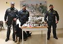 Il buon fiuto dei cani antidroga della GdF non mente: sequestrati oltre 80 chili di droga in provincia di Foggia