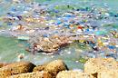 Microplastiche in mare: un problema grande come un oceano, con effetti devastanti sulla salute umana
