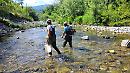 Contratti di fiume: al via il campionamento ittico del fiume Sinni