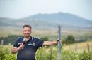 Da Lavello alla Top 100 Migliori vini italiani 2024 di winemag.it: brilla la Cantina Vitis in Vulture