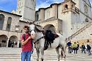 Da Lagonegro ad Assisi a piedi: l'impresa di Cono La Veglia e il suo cavallo cieco
