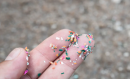 Che ne sai delle microplastiche e dei batteri che resistono agli antibiotici?