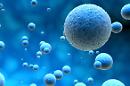 Alla scoperta del microbioma