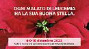 L'Ail di Matera torna nelle piazze con la tradizionale manifestazione delle Stelle di Natale