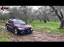 Rubano 4 quintali di olive a Cerignola e San Giovanni Rotondo, 8 persone arrestate dai Carabinieri