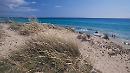 Casili e Piemontese salvano le dune della Puglia dalle grinfie dei privati