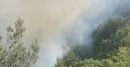 Gargano in fiamme: Carpino brucia