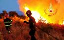 L'incendio del Pollino: l'ennesima profonda ferita ad un prezioso ecosistema italiano