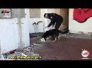 Scacco matto dei Carabinieri alla mafia di Foggia che trafficava droga tra Puglia, Abruzzo, Molise