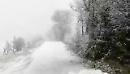 Dai monti dauni al Gargano, ecco la prima neve d'inverno in Puglia