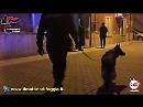 I Carabinieri di Foggia acciuffano Campanella, ritenuto responsabile dell'omicidio delle Palme a Trinitapoli