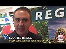 Pippo fa "litigare" Landella e Di Gioia sulla Fiera di Foggia