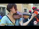 Un violino gitano a difesa dei braccianti