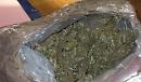 Operazione "Coast to Coast" dai domiciliari al carcere per il trafficante di marijuana 