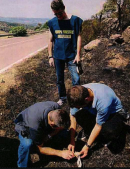 Reati ambientali: sessantadue denunciati all’autorità amministrativa e uno all'autorità giudiziaria