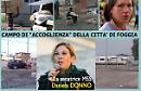 Donno (M5S): «Caro Renzi, che ci dici dell'inferno di Arpinova?»