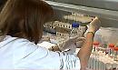 L'Istituto Zooprofilattico di Puglia e Basilicata con sede a Foggia isola due ceppi del Coronavirus, utili per il vaccino
