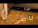 Eccoco il VIDEO che incastra l'autore della bomba alla "Pizzeria Mia"
